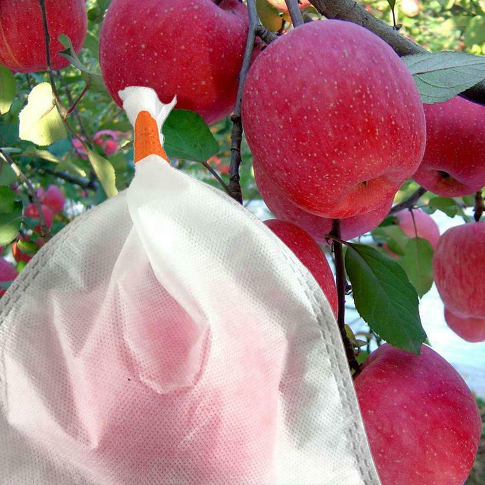 水果套袋專用PP無紡布，水果套袋專用PP無紡布的優(yōu)勢，水果套袋專用PP無紡布的好處，采購水果套袋專用PP無紡布 